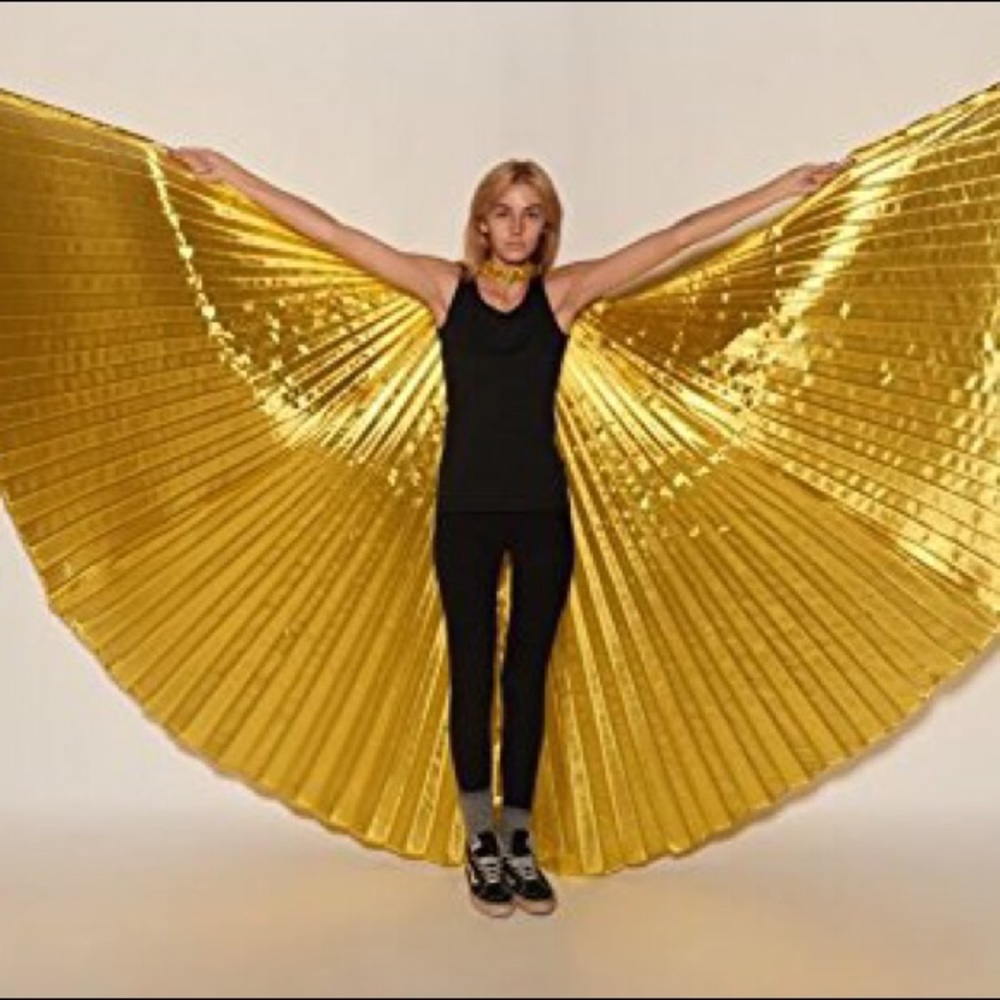 Gold Wings - Picture 5 of 6